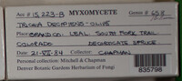 Image Associated With the Occurence